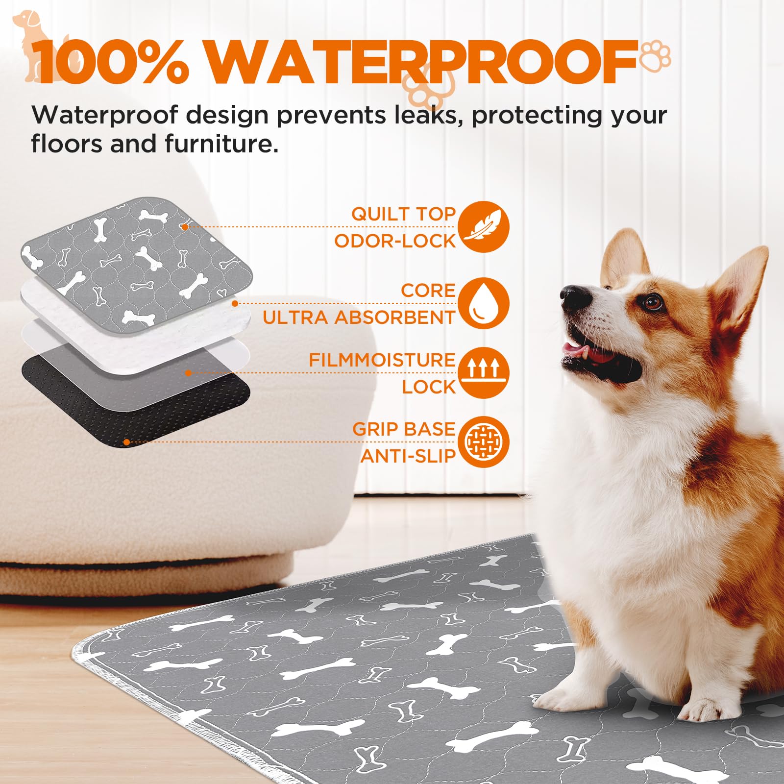 Baodan puppy pads 2pack leakproof bottom highlighting spill containment in a clean setup.