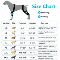 BaoGuai knee brace provides arthritis-supportive warmth and protection for daily walks.