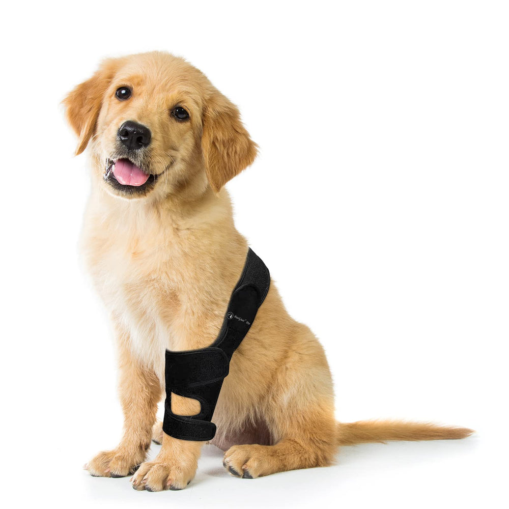 BaoGuai knee brace is vet-approved for reliable canine joint support and safety.