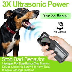 Baopilong dog sonic bark deterrent in hand during calm outdoor walk