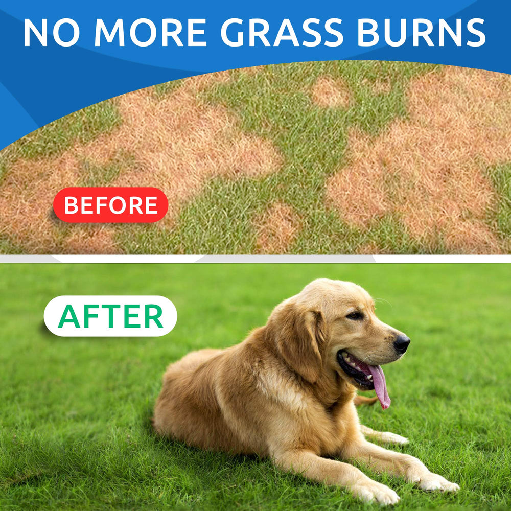 BARK&SPARK lawn-restoration-chews close-up showing greener yard possibility.