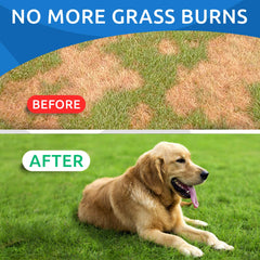BARK&SPARK lawn-restoration-chews close-up showing greener yard possibility.