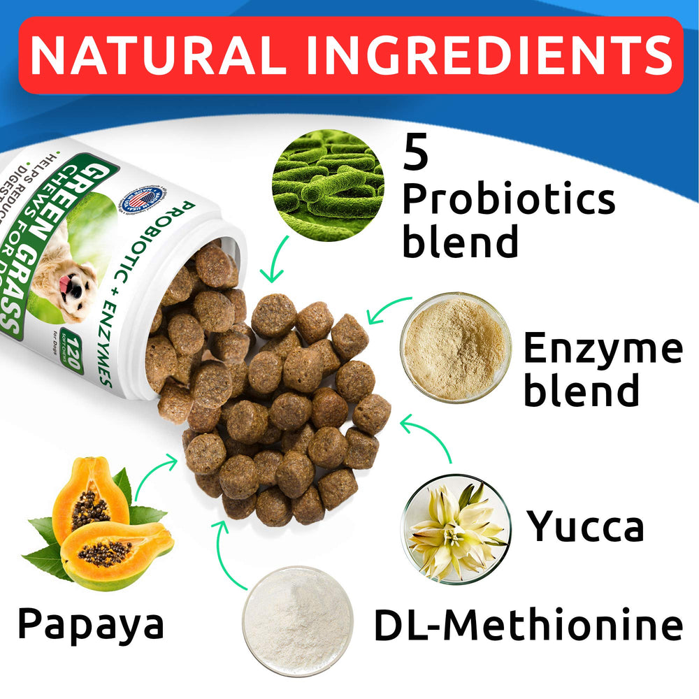 BARK&SPARK natural-enzyme-ingredients highlight plant-based lawn care.