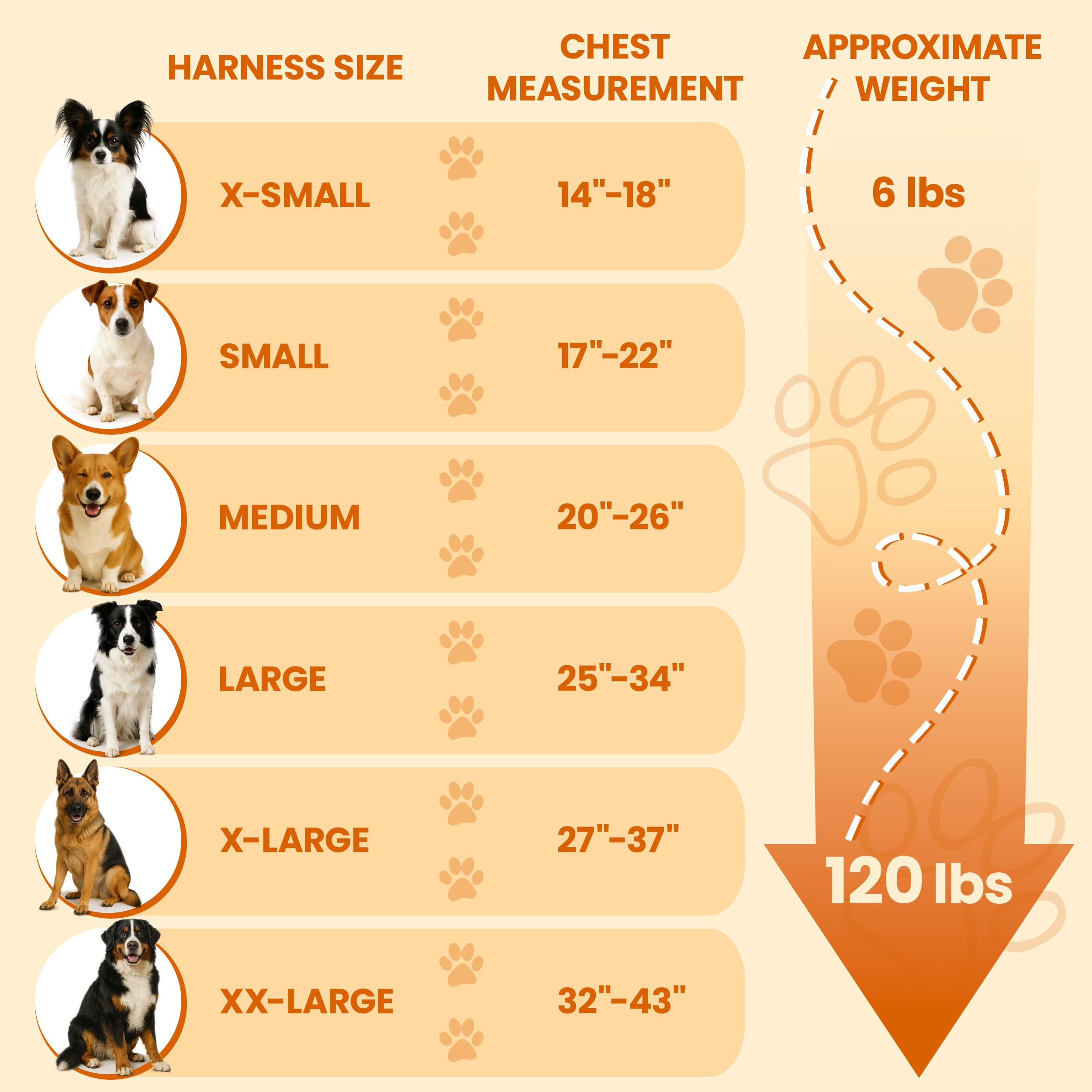 Bark Appeal Aqua Blue No-Pull Harness with soft mesh padding cares for skin.