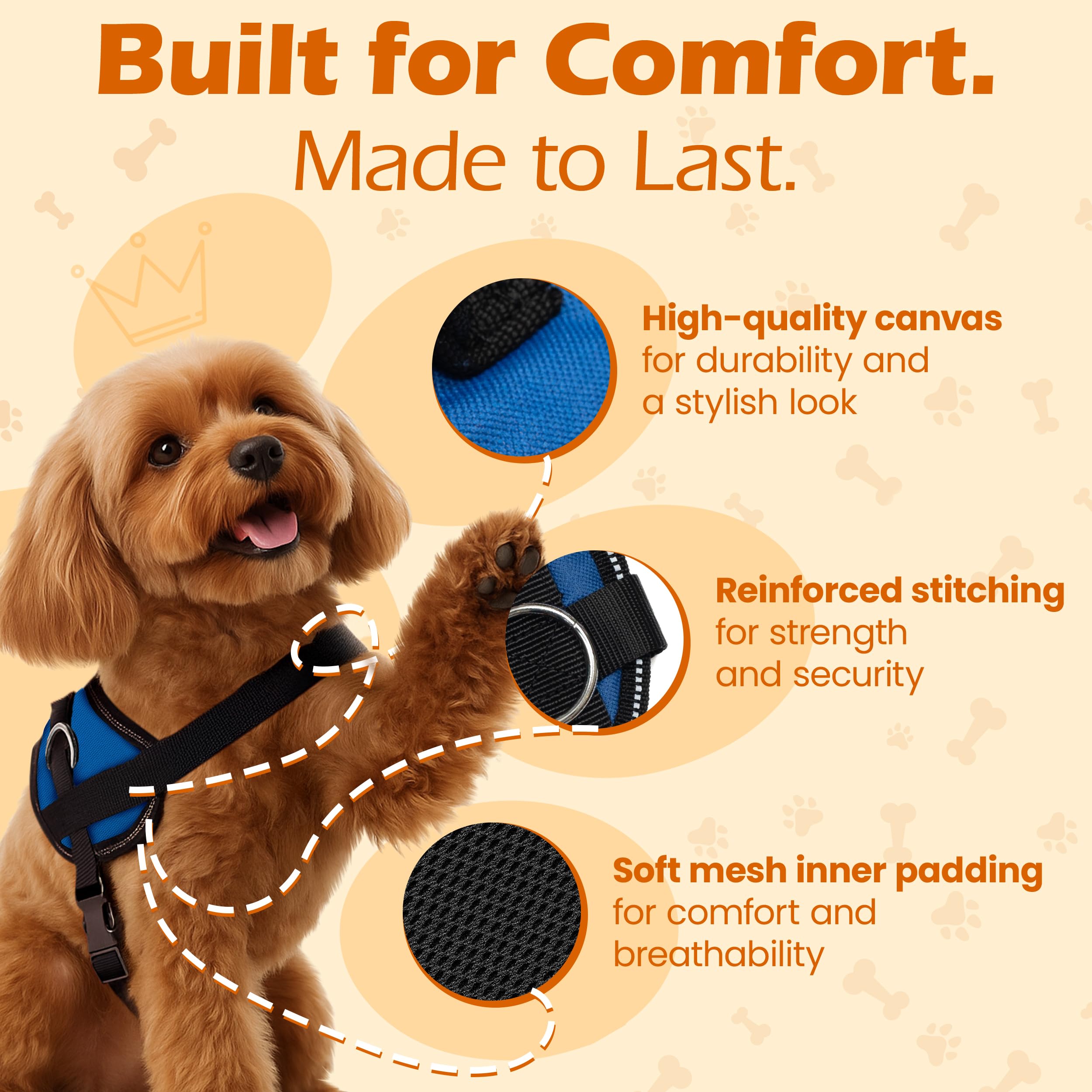 Bark Appeal blue harness with three leash clips for flexible control during activities