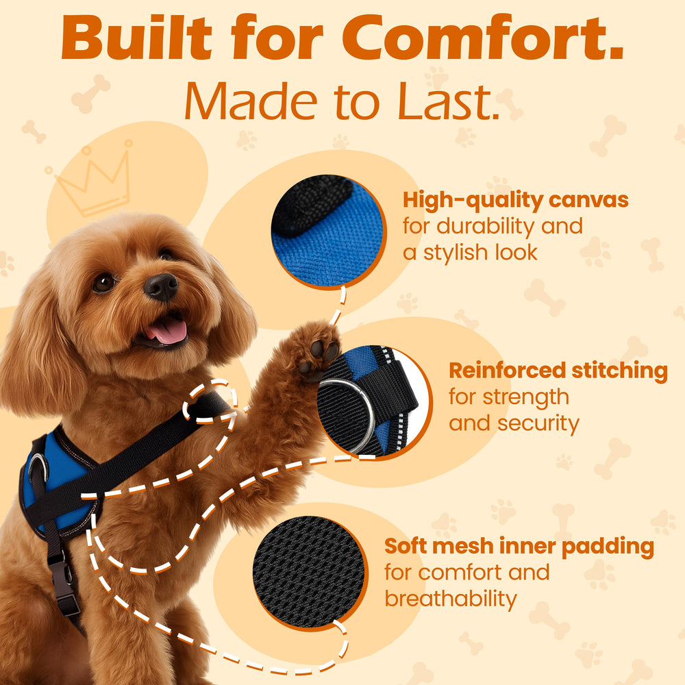 Bark Appeal blue harness with three leash clips for flexible control during activities