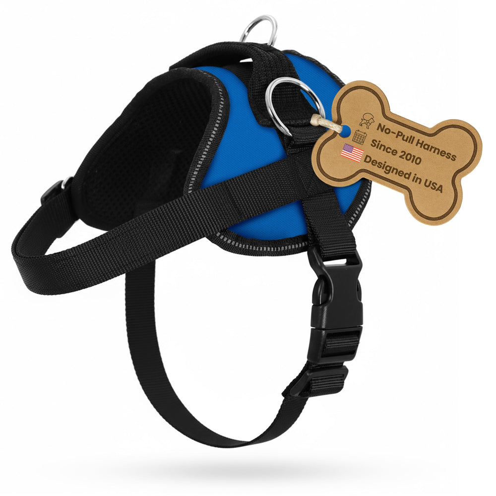Bark Appeal blue no-pull harness with side D-ring for training control during walks