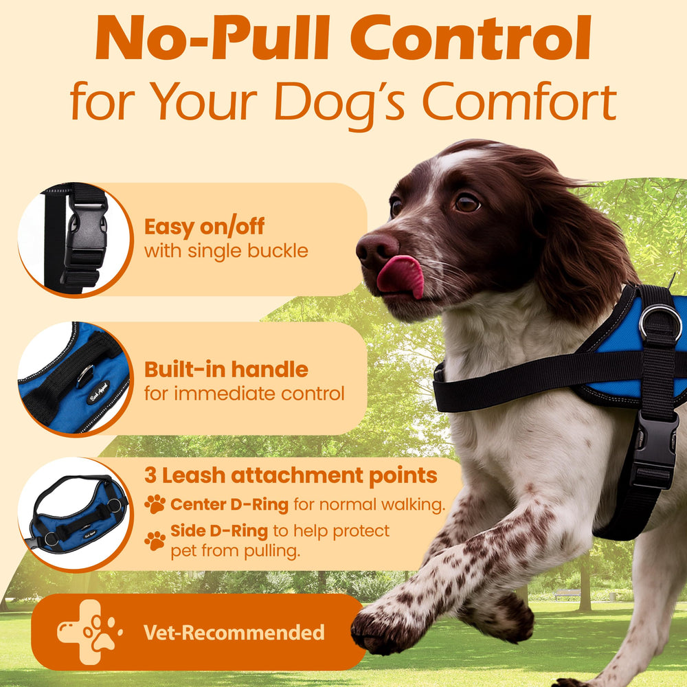 Bark Appeal harness showing top D-ring and versatile attachment options for walks