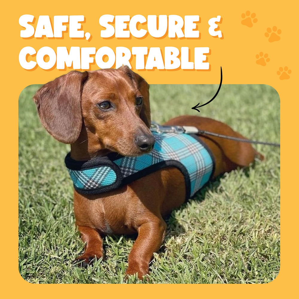 Bark Appeal buckle-free design demonstrates simple under-neck and chest secure fit.