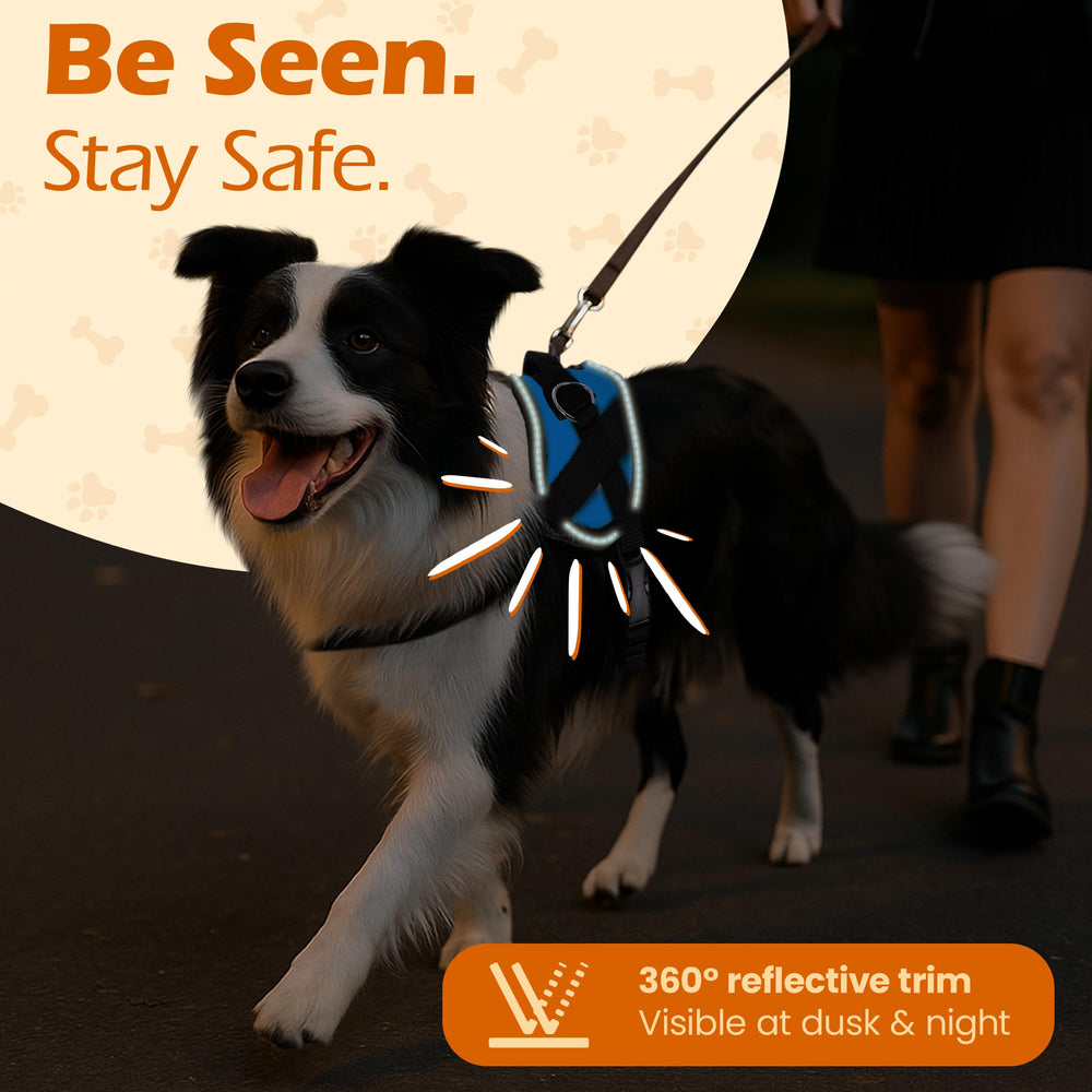 Bark Appeal durable canvas outer shell withstands daily adventures.