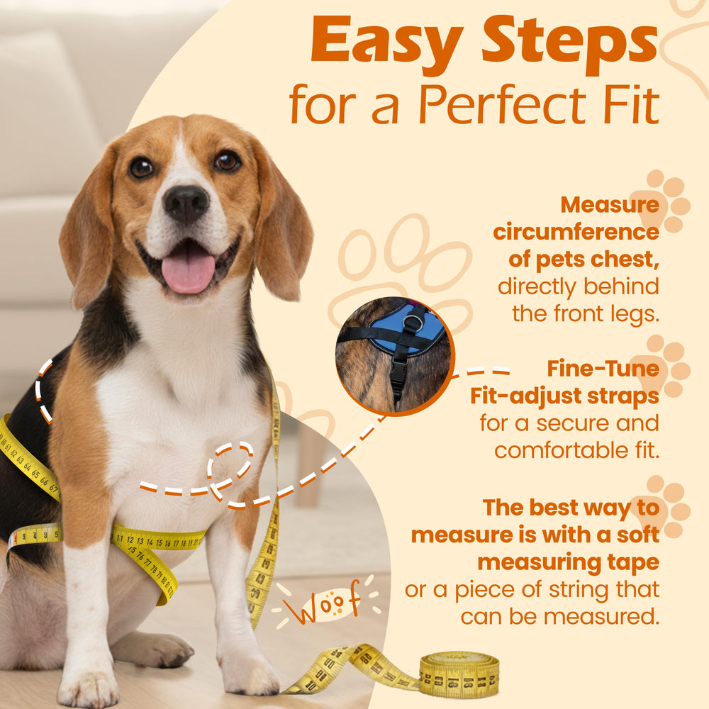 Bark Appeal easy-on-off buckle speeds up harnessing sessions for quick use.