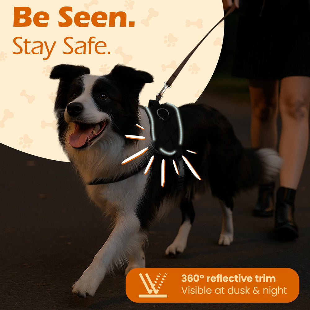 Bark Appeal easy-on, easy-off buckle for quick fitting.