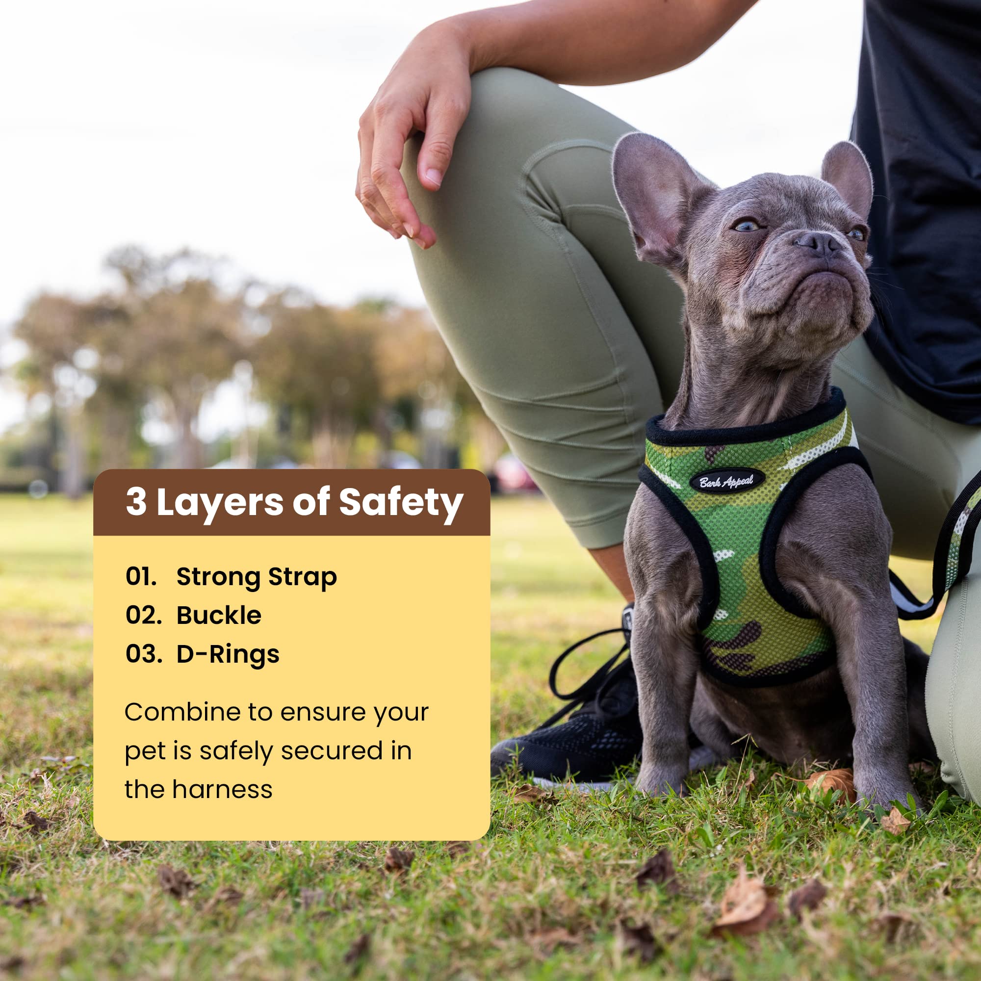 Bark Appeal family-owned brand image highlights pet-loving craftsmanship.