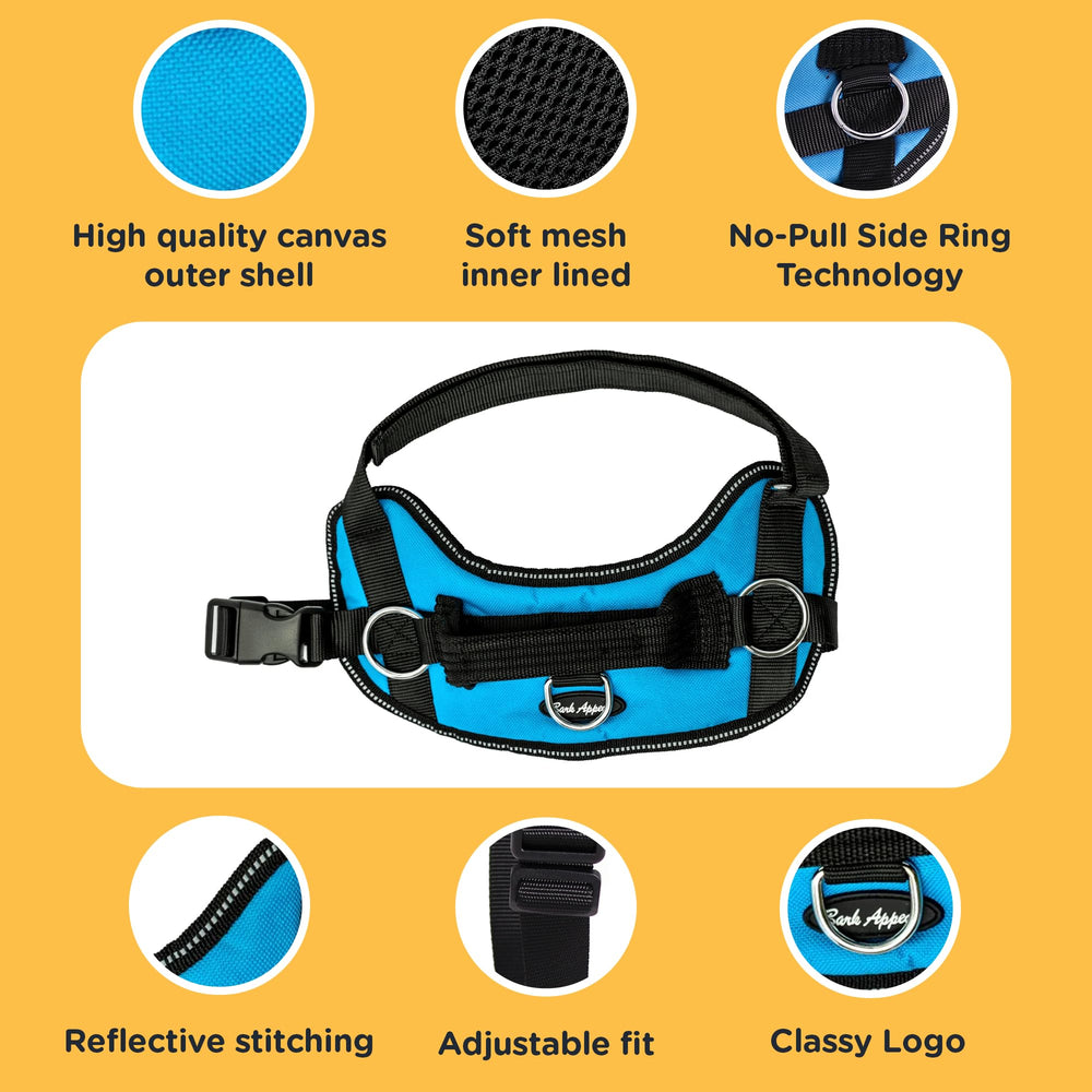 Bark Appeal reflective border enhances visibility on night walks