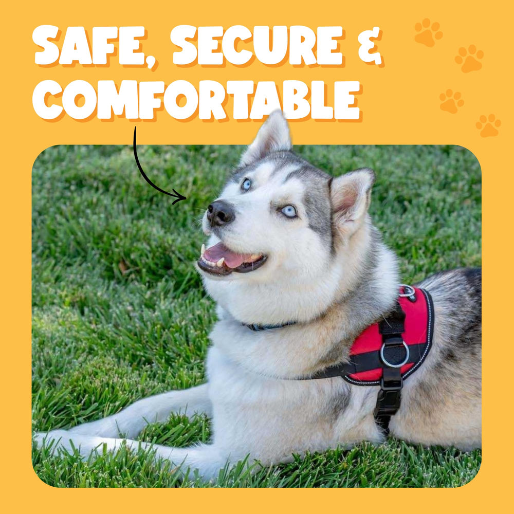 Bark Appeal three-clip vest offers flexible leash options for activities