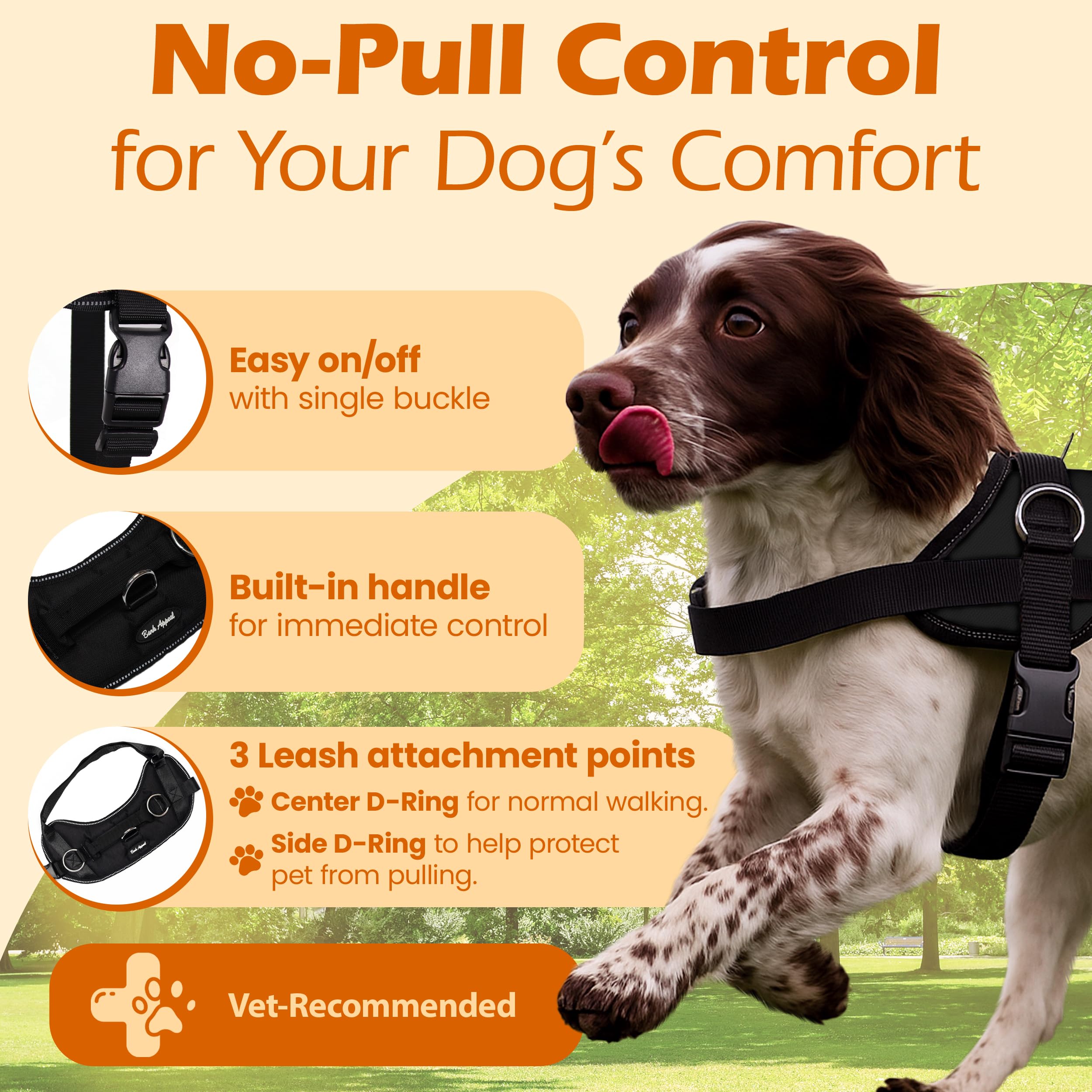 Bark Appeal harness close-up of three leash clips enabling versatile control during training.