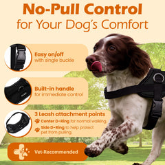 Bark Appeal harness close-up of three leash clips enabling versatile control during training.