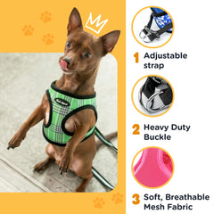 Bark Appeal harness buckle and d-rings for secure control