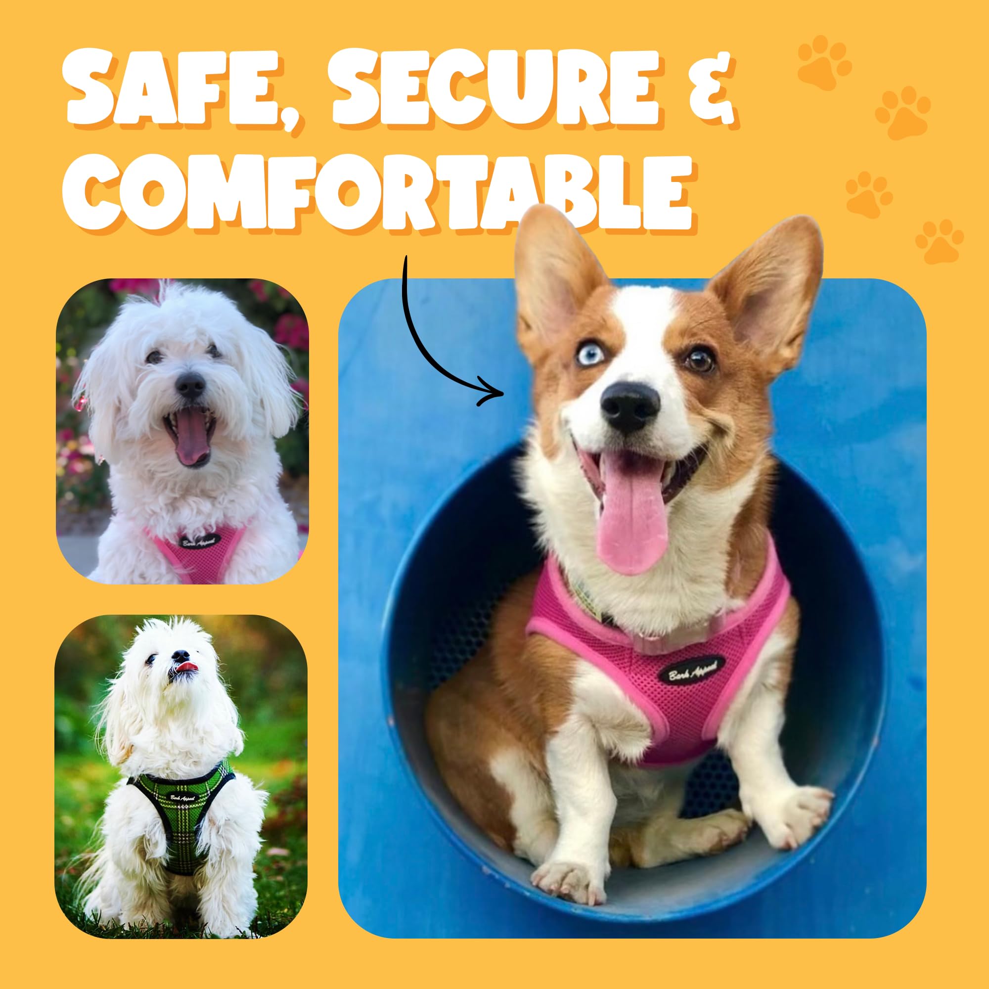 Bark Appeal measuring guide image helps achieve a precise, comfortable fit.