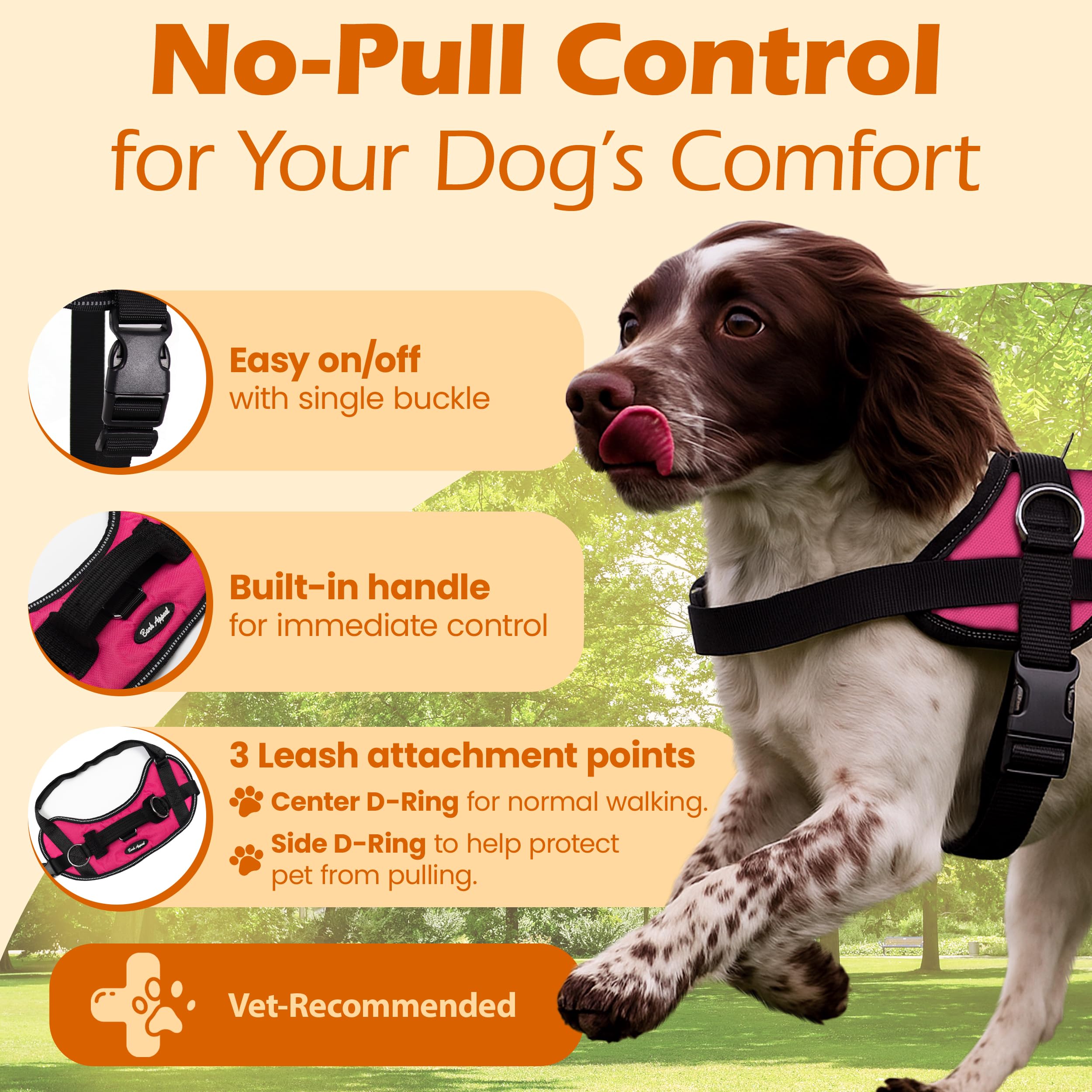 Bark Appeal pink no-pull harness reflective border for safe night walks