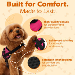 Bark Appeal pink no-pull harness with reflective border for night safety
