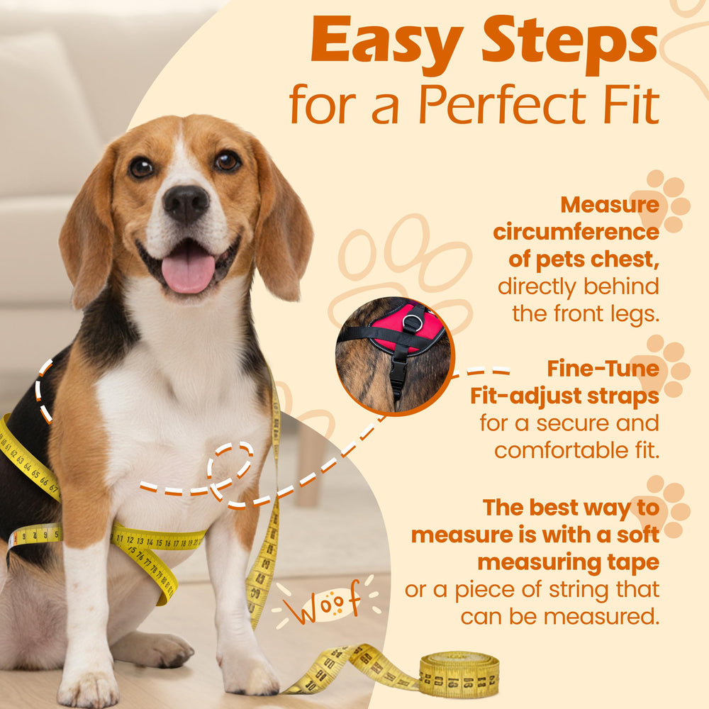 Bark Appeal pink no-pull harness top D-ring shown for casual walking and training.
