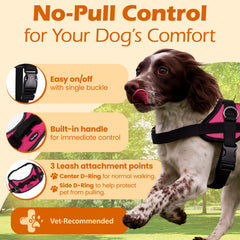 Bark Appeal Pink No-Pull Harness shows top D-ring for casual walking