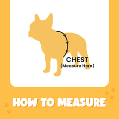Bark Appeal purple harness side D-ring aids training and reducing pulling during strolls.