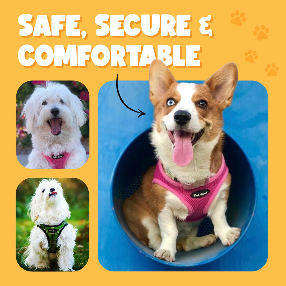Bark Appeal Raspberry Plaid Harness anti-choke design reduces neck strain during pulls