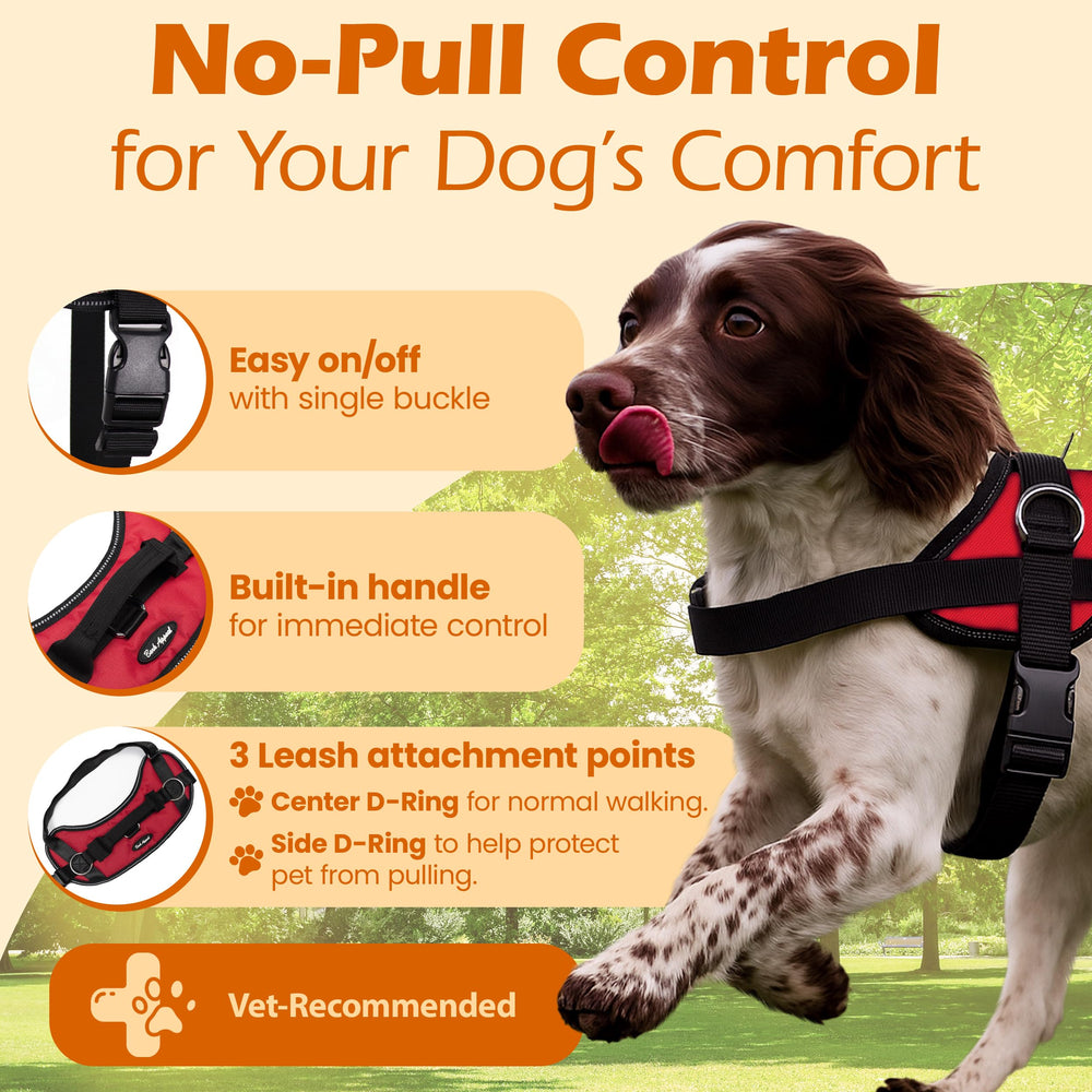 Bark Appeal adjustable harness showing three leash clips for versatile training sessions.