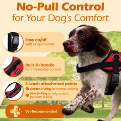 Bark Appeal red no-pull harness back view showing reflective border for night visibility.