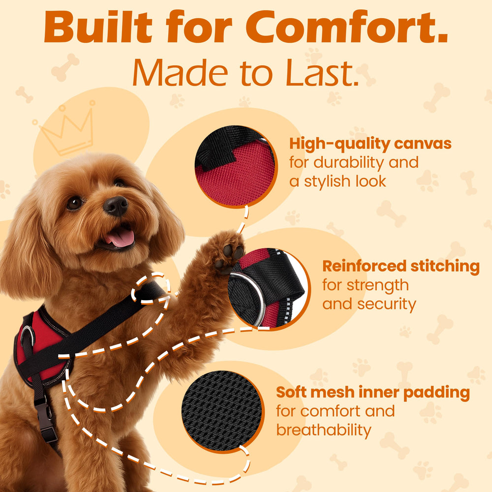 Bark Appeal red-no-pull harness with three-leash-clip setup for flexible control.