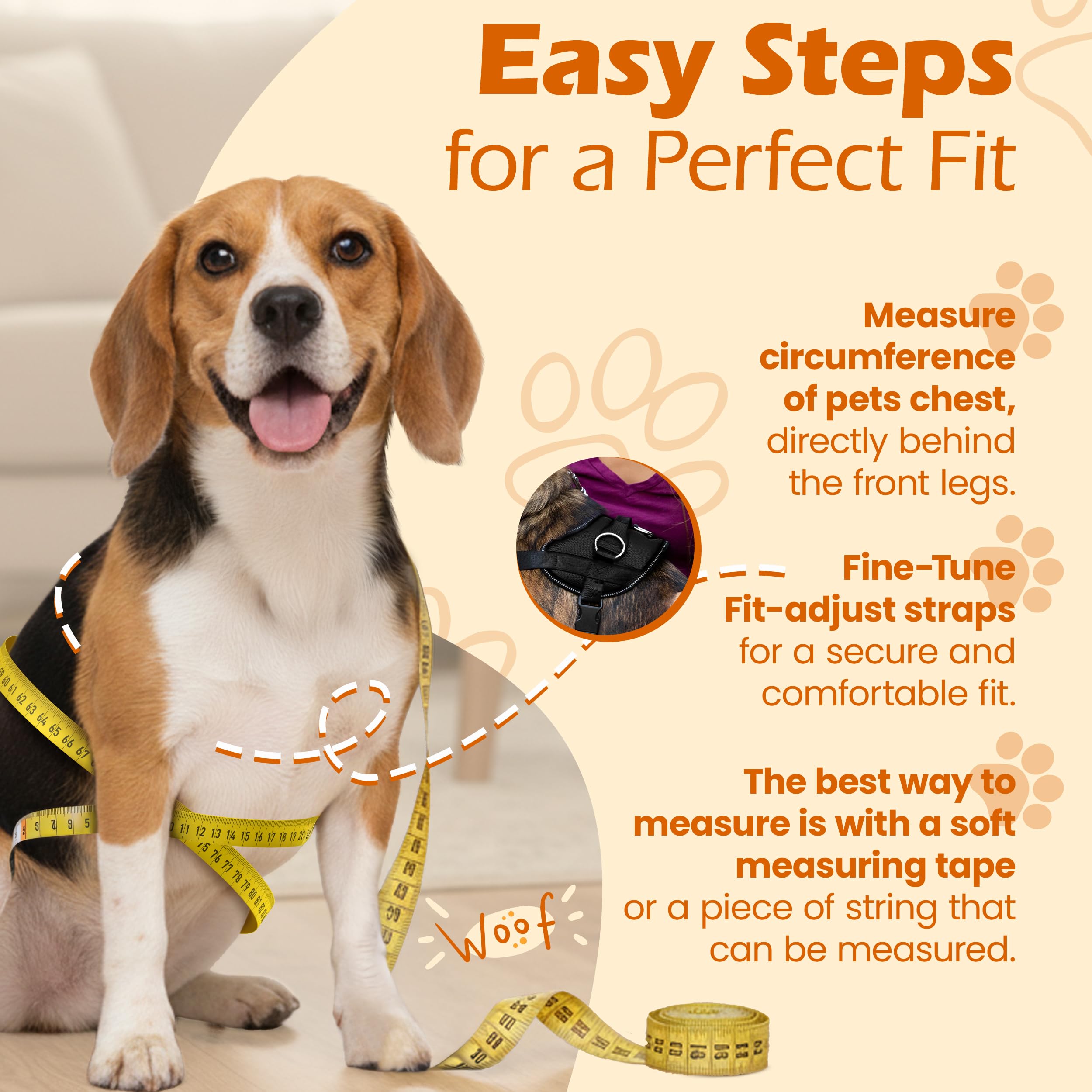 Bark Appeal reflective border boosts night visibility for safety.