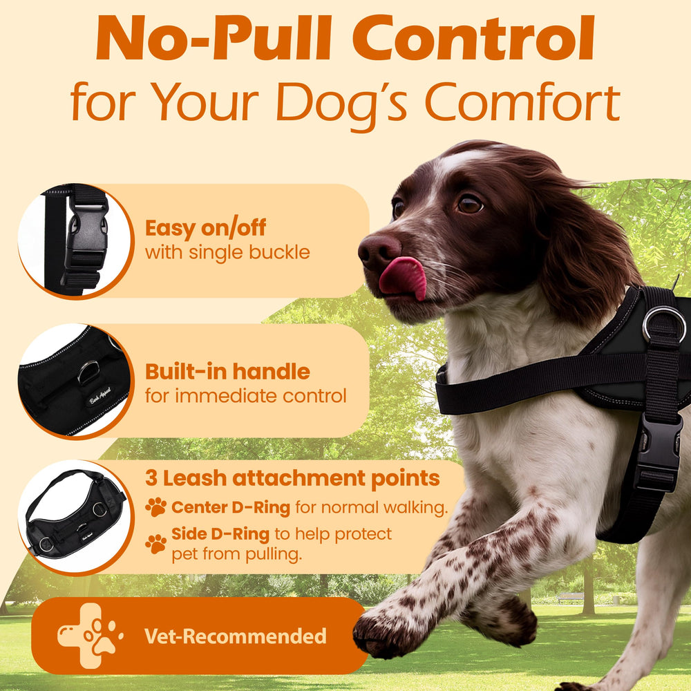 Bark Appeal side D-ring technology reduces pulling during walks.