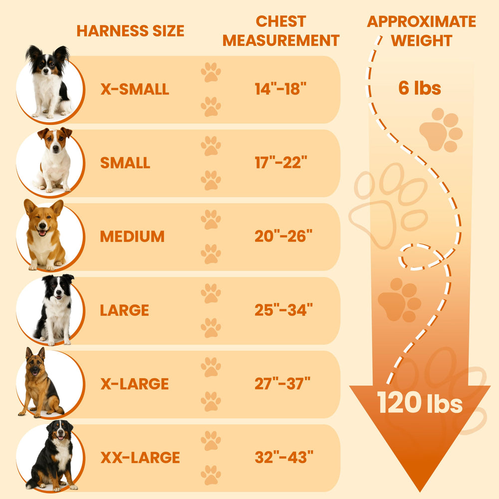 Bark Appeal soft mesh inner padding protects skin during long wear.