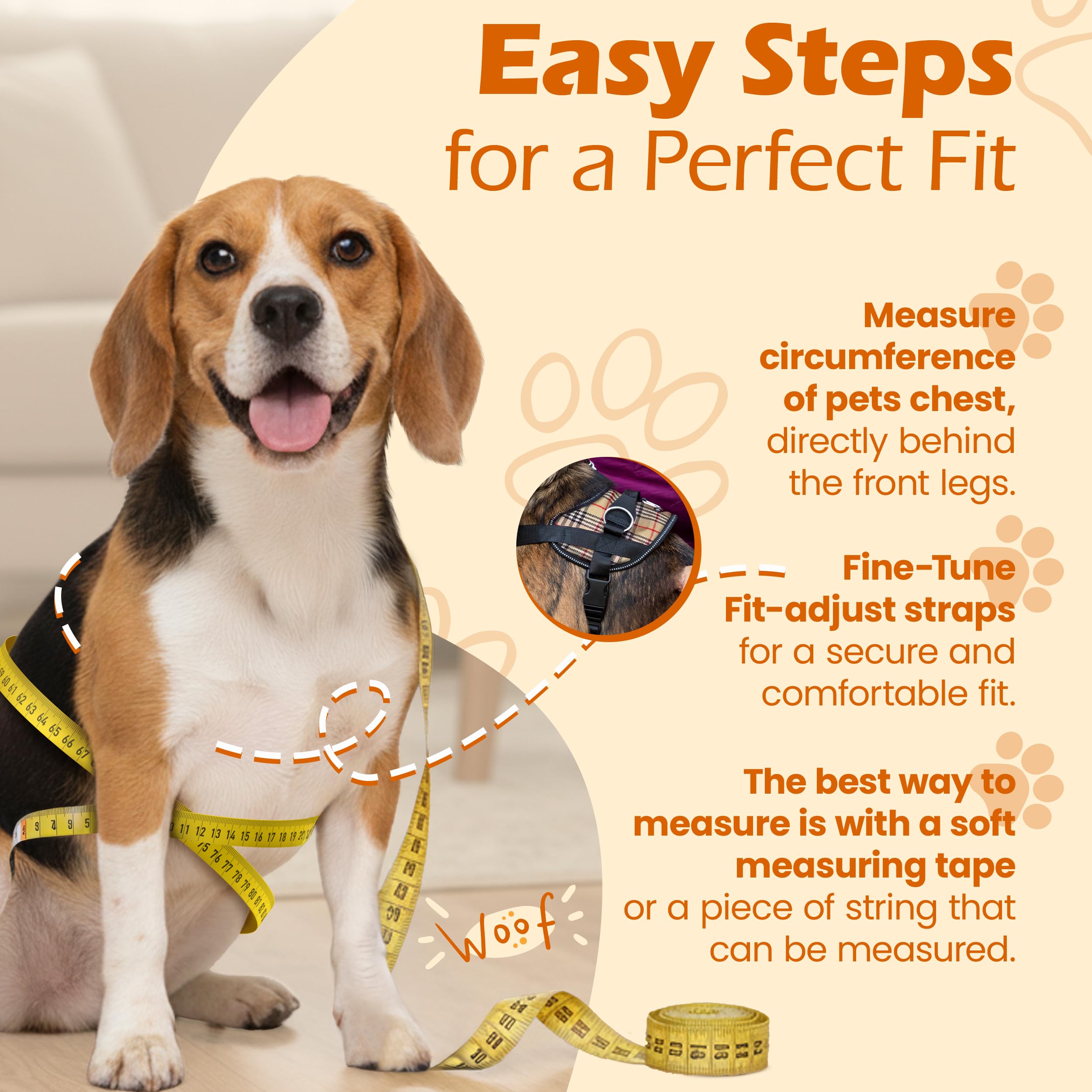 Bark Appeal reflective border on harness for nighttime visibility during walks