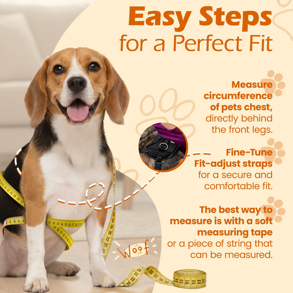Bark Appeal three-leash-clip points provide flexible control