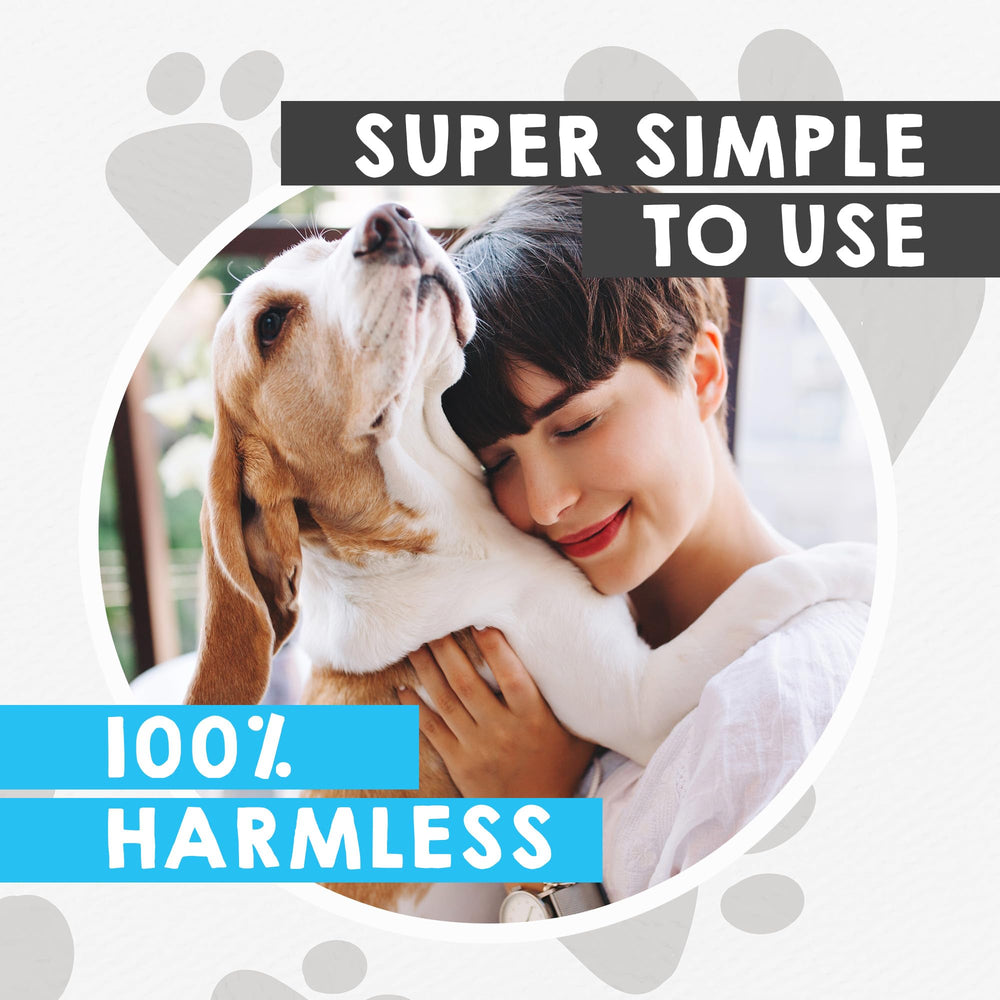 Bark Begone signal emitter highlights quick attention cues for better behavior.