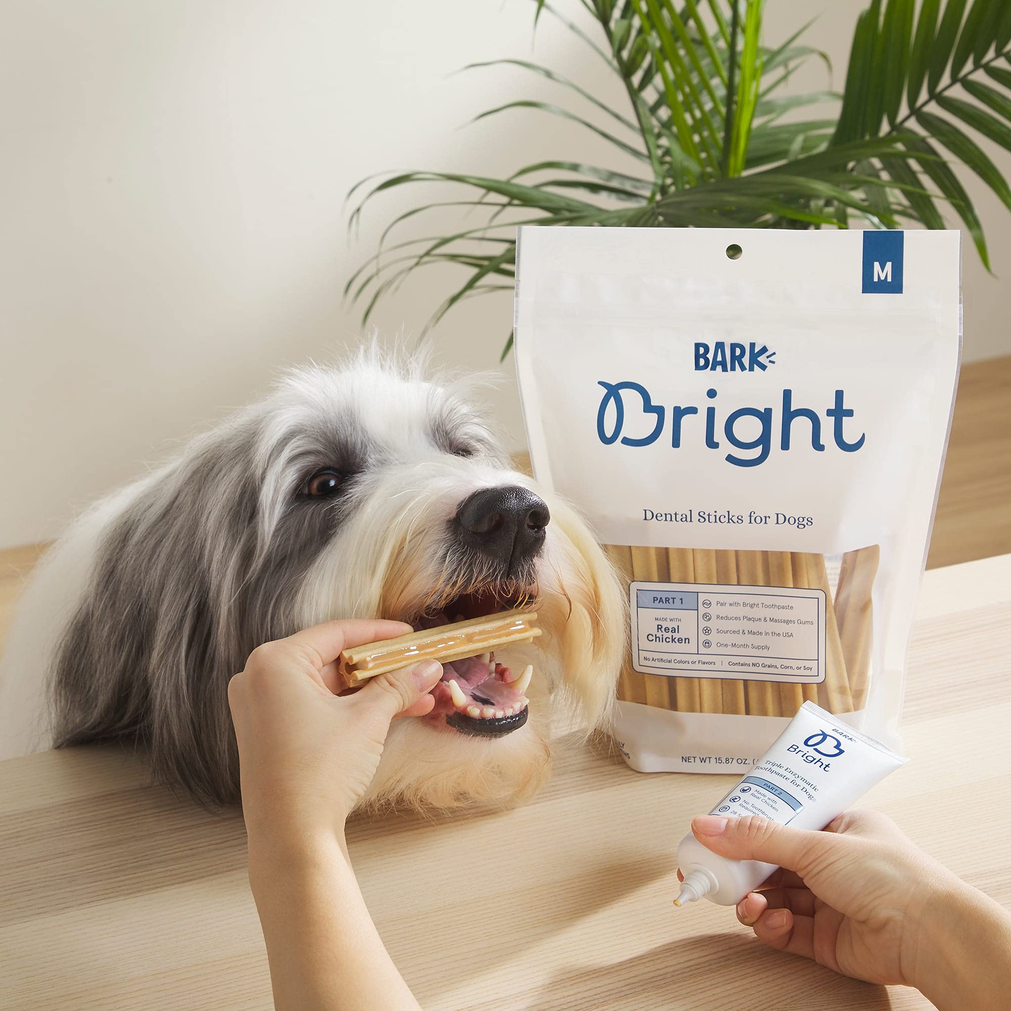 BARK Bright dental sticks grain-free formula shown on label.