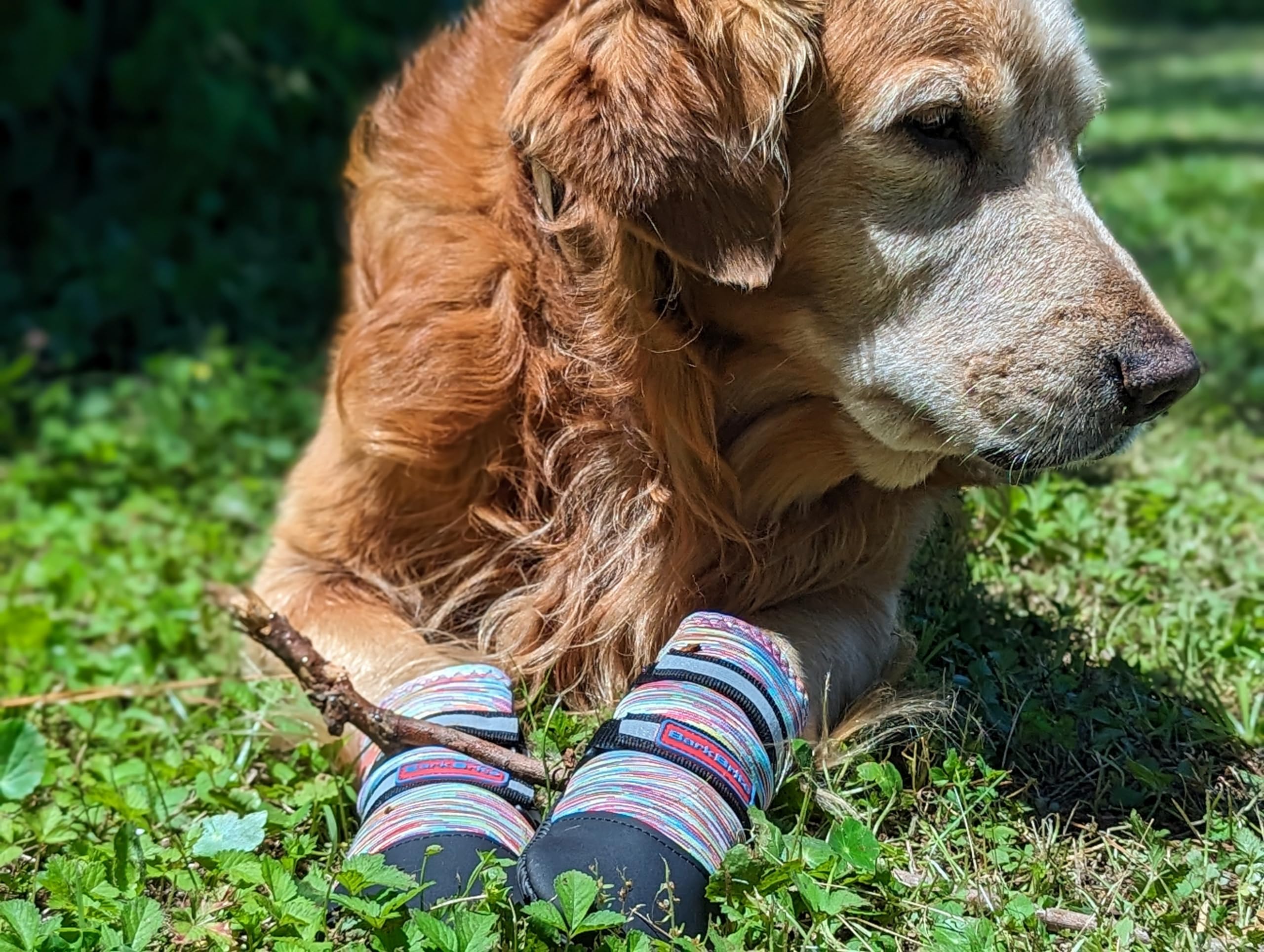 Bark Brite multicolor small booties pack ready for outdoor adventures.