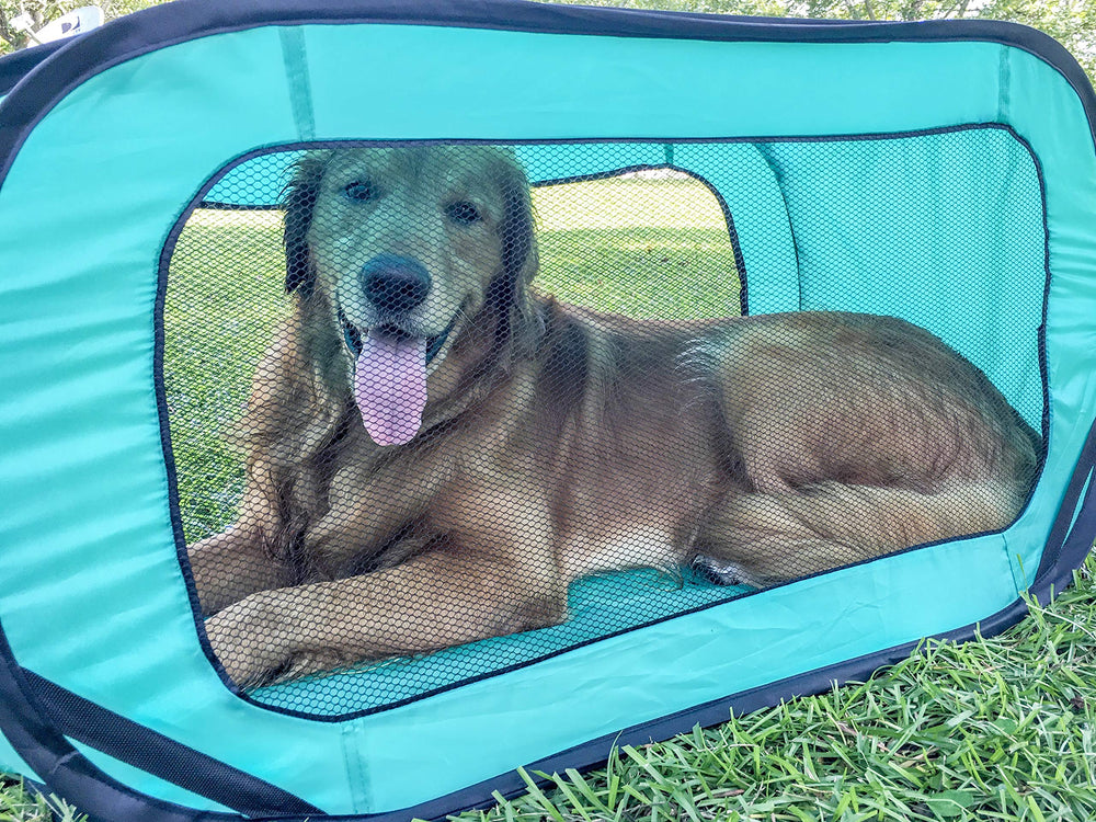 Bark Brite packable travel crate collapsed design saves space in vehicles