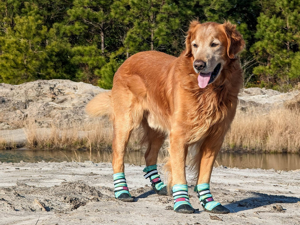 Bark Brite paw boot back heel guard boosts durability during active play.