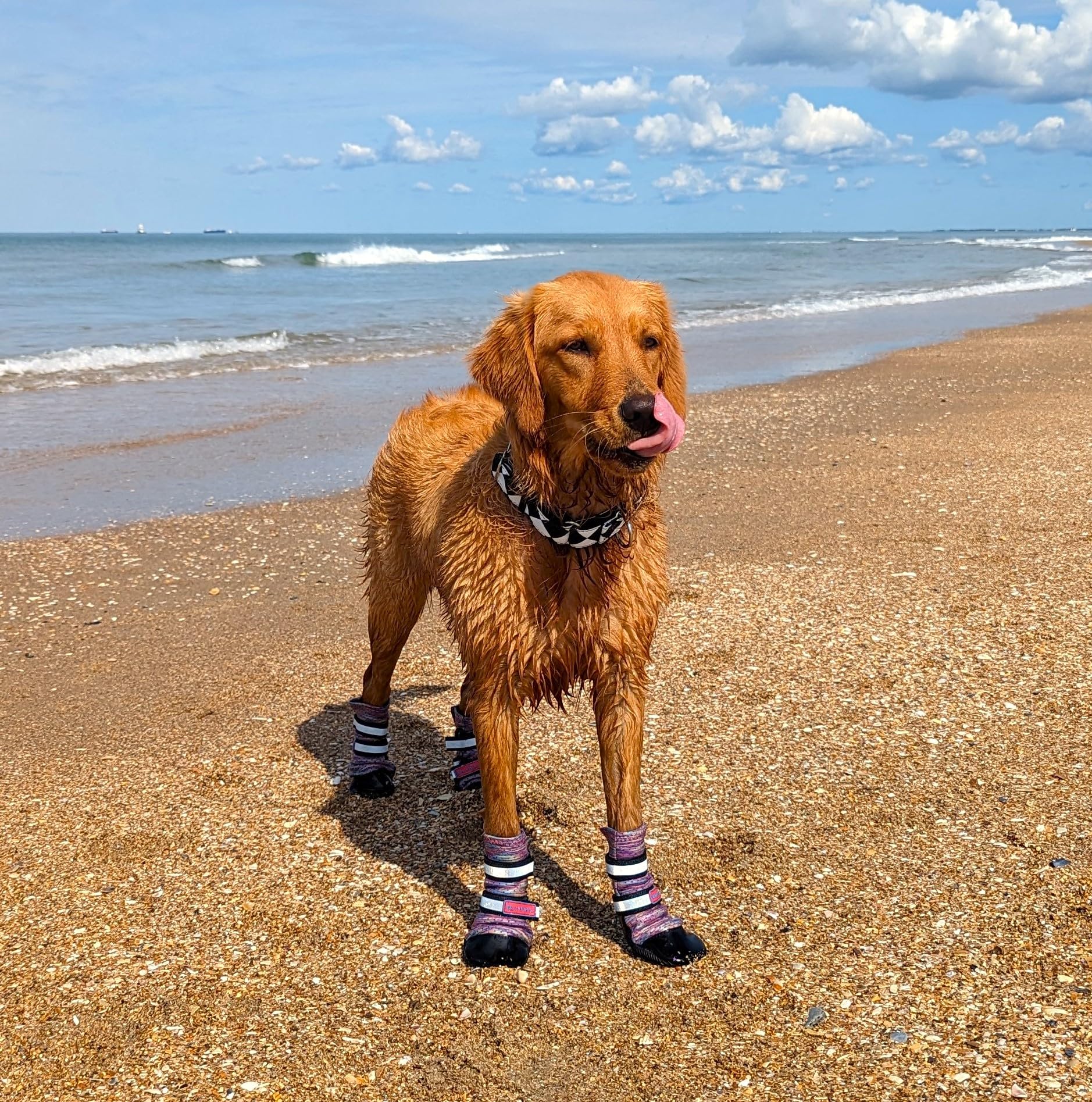 Bark Brite lavender boot closeup highlights ventilation holes for air flow