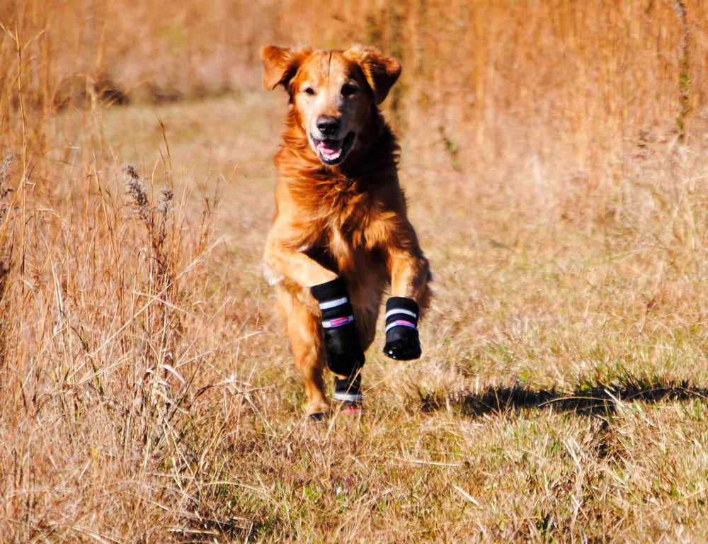 Bark Brite water-resistant material keeps paws dry in rain and damp ground