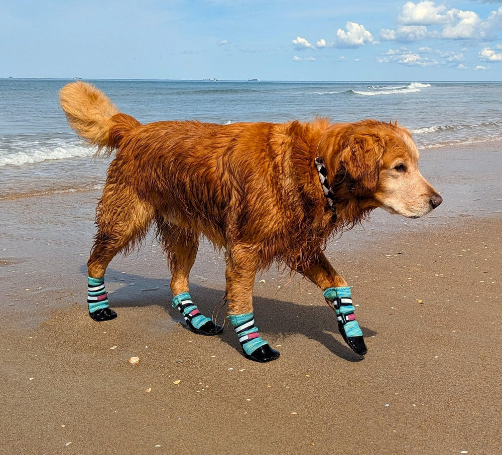 Bark Brite paw boots extend beyond the sole to secure placement during active use