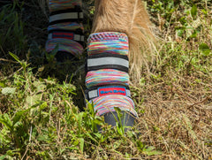 Bark Brite paw boots side view showing adjustable reflective straps for secure fit