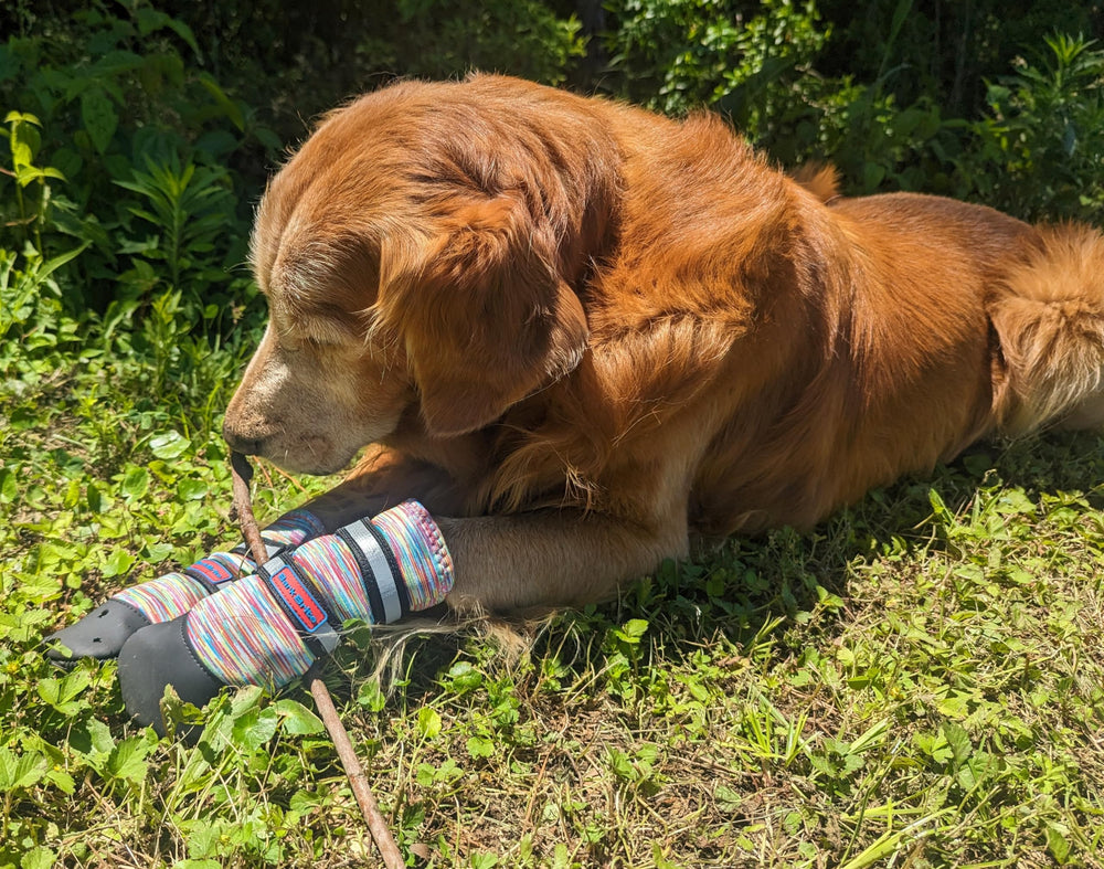 Bark Brite paw boots size chart reference and secure placement