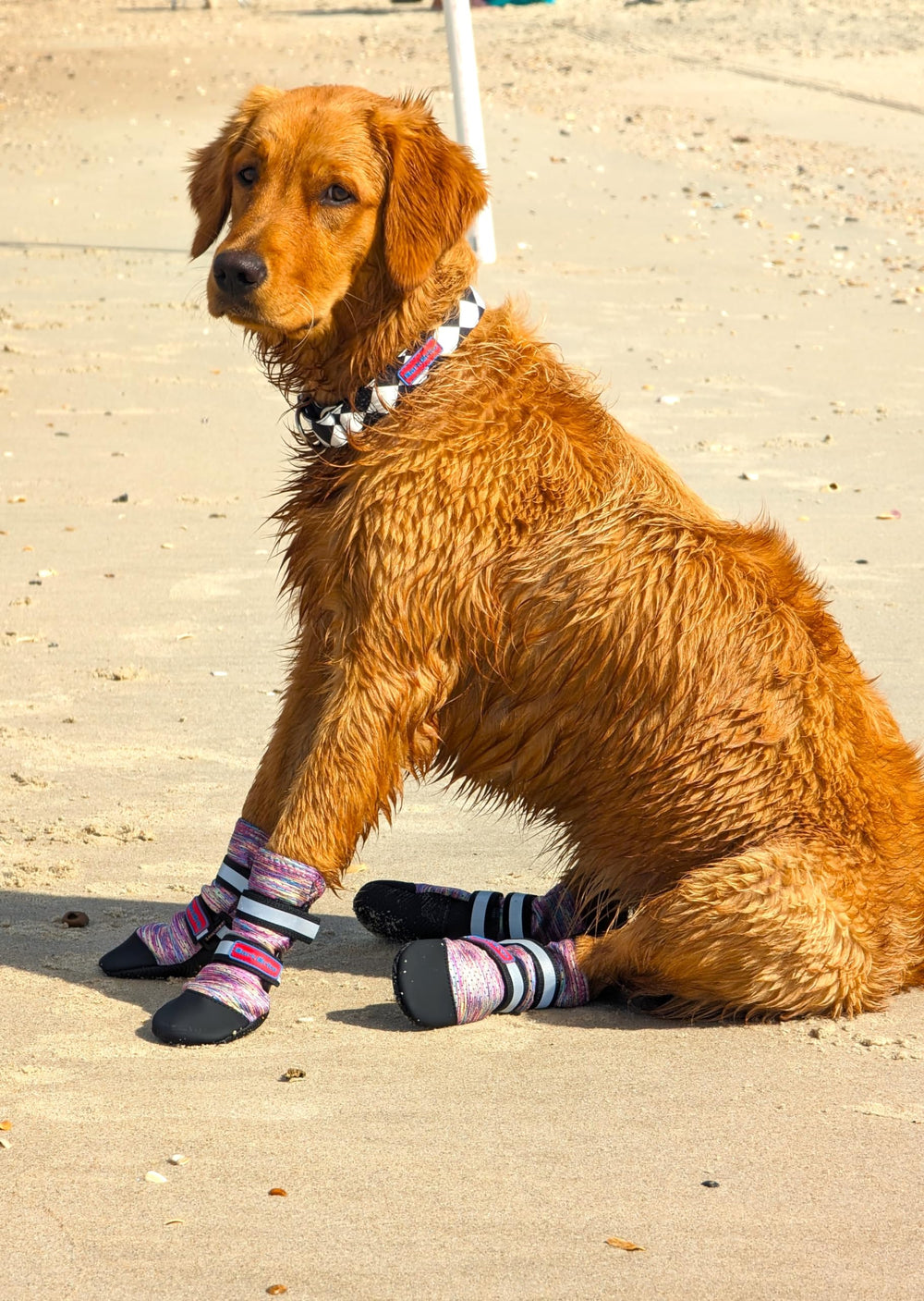 Bark Brite lavender paw protector designed for indoor and outdoor use to guard paws