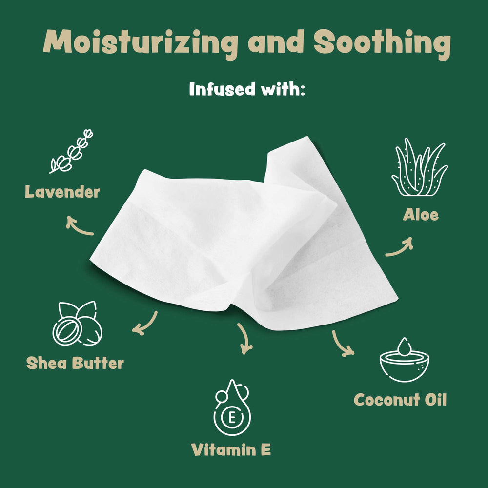 Bark & Clean paw-wipes demonstrate quick paw cleaning after outdoor walks.