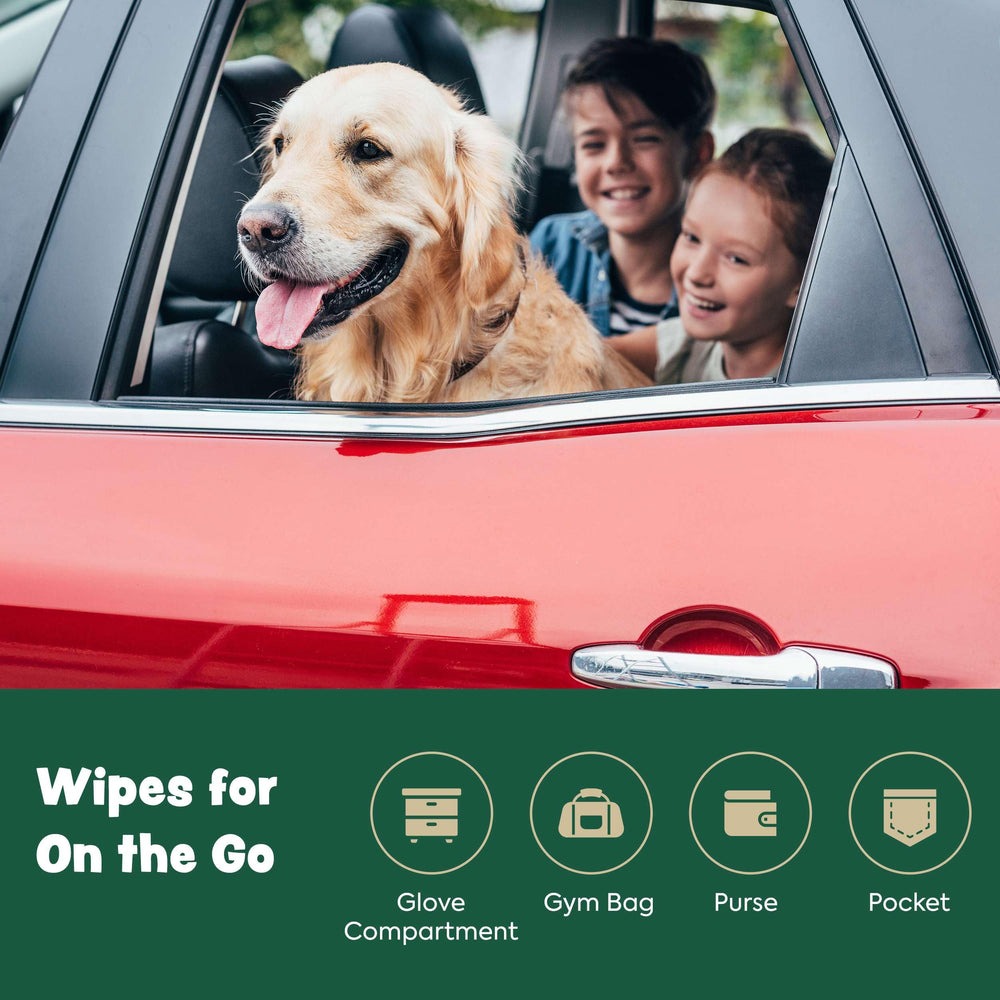 Bark & Clean wipes in use on a puppy and a dog during grooming.